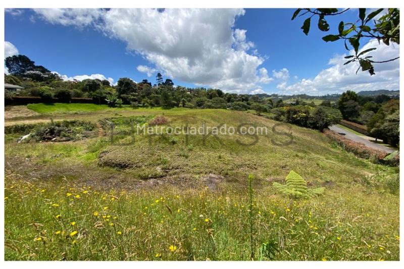Lote en Venta, Alto De Palmas, Envigado - Vista 4