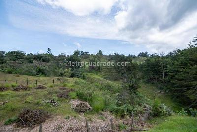 Casa de 4 alcobas en venta en Santa Ana Parte Baja, Rionegro, 360 m² · foto 9 de 20