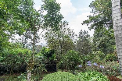 Casa en arriendo en Provenza, Bogotá · foto 15 de 20