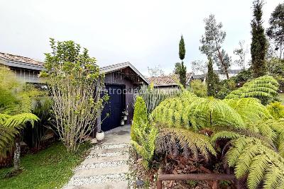 Casa de 4 alcobas en venta en Sector Charco Azul, Envigado, 400 m² · foto 8 de 11