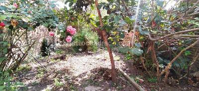 Casa en venta en Mosquera Centro, Mosquera · foto 13 de 14