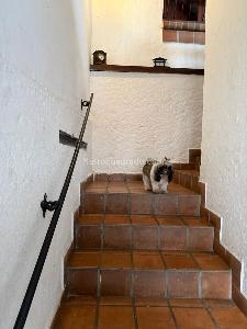 Casa de 3 alcobas en venta en San Antonio, Cali, 390 m² · foto 2 de 20