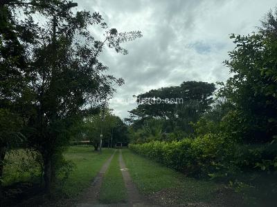 Casa de 3 alcobas en venta en Pance, Cali, 400 m² · foto 1 de 20