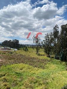 Apartamento de 2 alcobas en arriendo en Zefiro Ciudadela Belari, Mosquera, 37 m² · foto 6 de 20