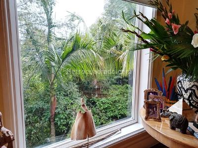Casa de 5 alcobas en venta en Santa Ana Oriental, Bogotá, 790 m² · foto 3 de 12