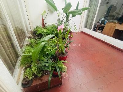Casa en venta en Santa Paula, Bogotá · foto 12 de 19