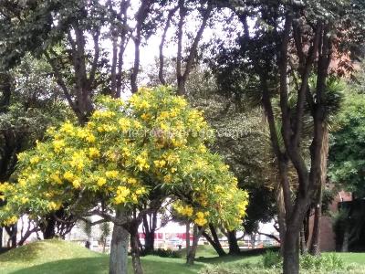 Casa de 4 alcobas en venta en Multicentro, Bogotá, 260 m² · foto 18 de 20