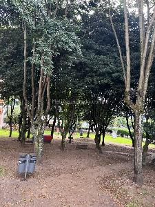 Apartamento de 2 alcobas en venta en San Cipriano, Bogotá, 55 m² · foto 17 de 18