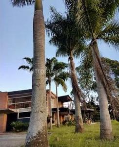 Casa de 5 alcobas en venta en El Poblado Las Palmas, Medellín, 400 m² · foto 10 de 20