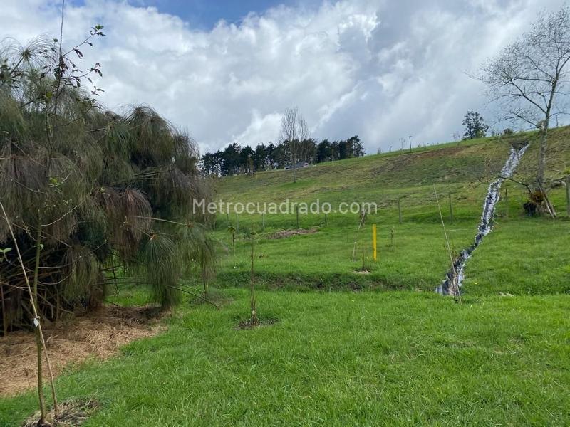 Lote en Venta, Alto De Palmas, Medellín - Vista 4