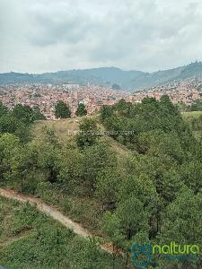 Apartamento de 2 alcobas en venta en Amazonia, Bello, 52 m² · foto 10 de 13