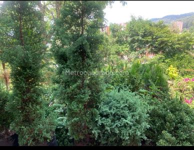 Casa de 5 alcobas en venta en El Poblado El Tesoro, Medellín, 313 m² · foto 18 de 19