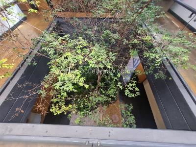 Casa de 4 alcobas en venta en Loma El Atravesado, Envigado, 300 m² · foto 18 de 19