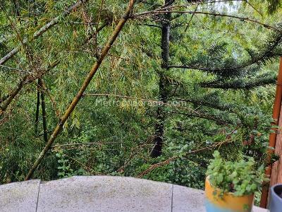 Apartamento de 2 alcobas en venta en El Diamante, Medellín, 98 m² · foto 20 de 20