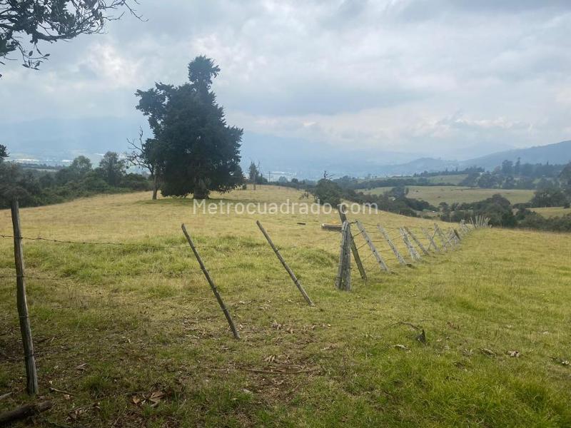 Lote en Venta, Altos De Yerbabuena, Chía - Vista 3