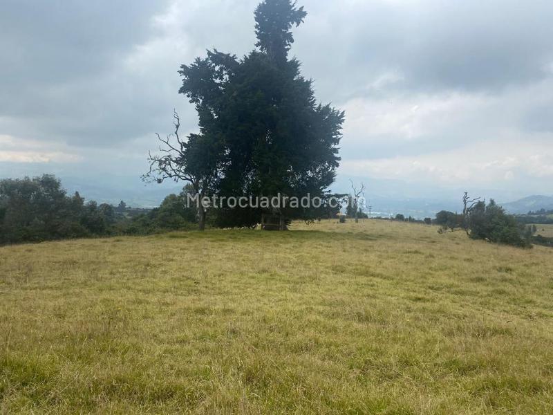 Lote en Venta, Altos De Yerbabuena, Chía - Vista 4