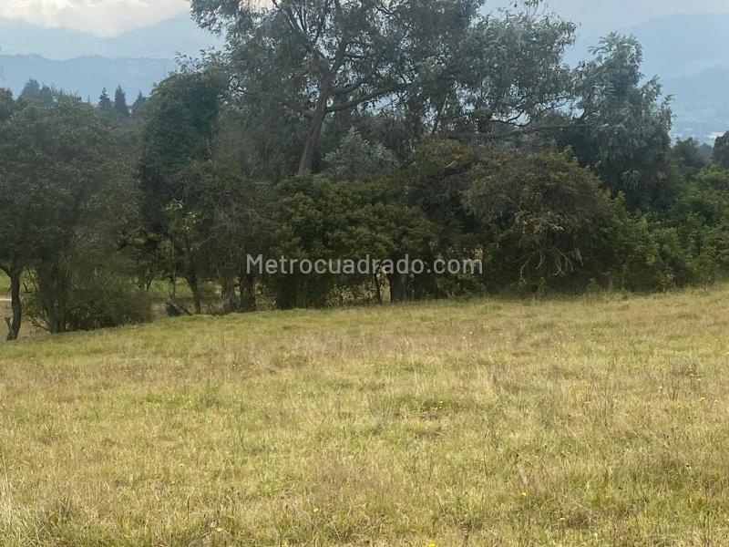 Lote en Venta, Altos De Yerbabuena, Chía - Vista 5