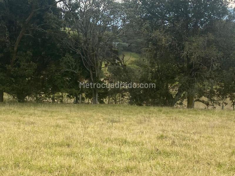 Lote en Venta, Altos De Yerbabuena, Chía - Más