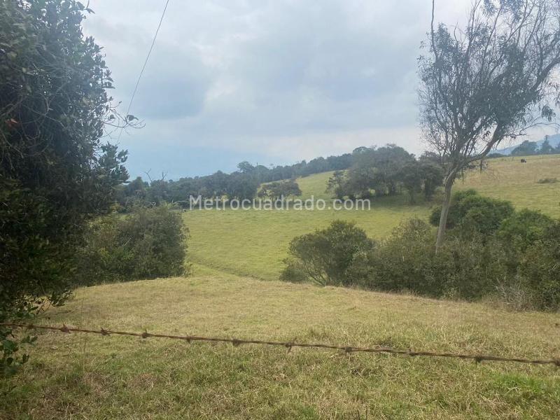 Lote en Venta, Altos De Yerbabuena, Chía - Vista 2