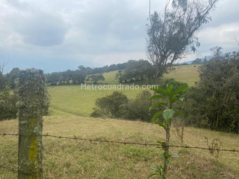Lote en Venta, Altos De Yerbabuena, Chía - Vista 3