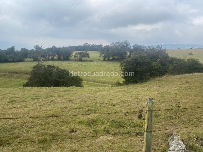 Lote en Venta, Altos De Yerbabuena, Chía - Vista 4