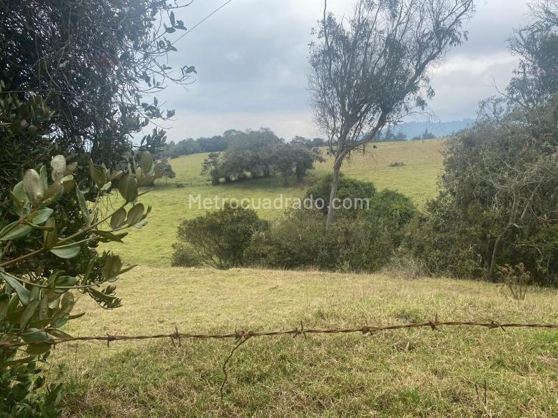 Lote en Venta, Altos De Yerbabuena, Chía - Vista 5