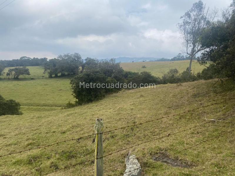 Lote en Venta, Altos De Yerbabuena, Chía - Más