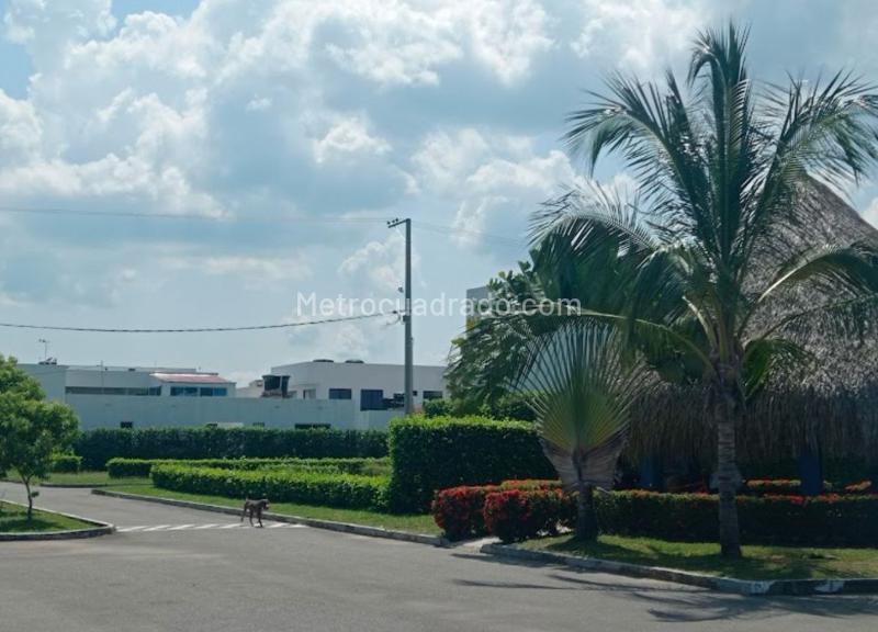 Lote en Venta, Flandes, Ibagué - Más