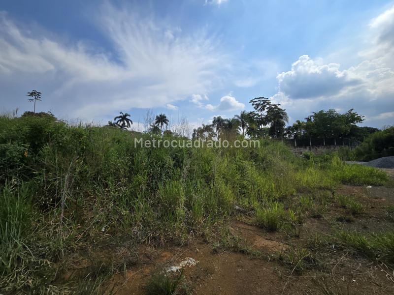 Lote en Venta, Pance, Cali - Vista 5