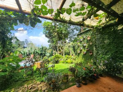 Casa de 4 alcobas en venta en Dapa, Cali · foto 5 de 20