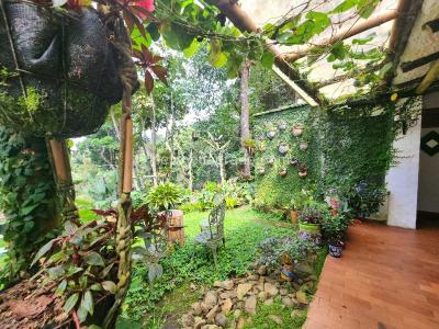 Casa de 4 alcobas en venta en Dapa, Cali · foto 6 de 20