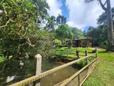 Casa de 4 alcobas en venta en Dapa, Cali · foto 8 de 20