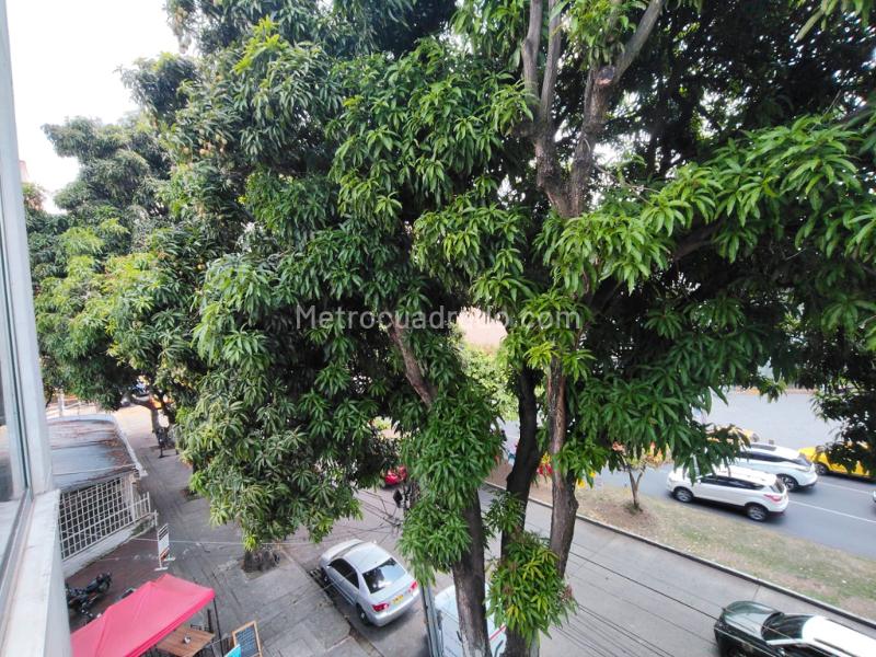 Piso – Cali, Eucarístico, Comuna 19 - Más