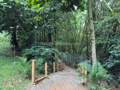 Apartamento de 3 alcobas en venta en Ambala, Ibagué, 66 m² · foto 5 de 18