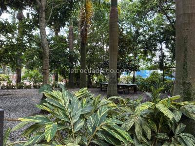 Apartamento de 3 alcobas en venta en Aparco, Ibagué, 130 m² · foto 10 de 20