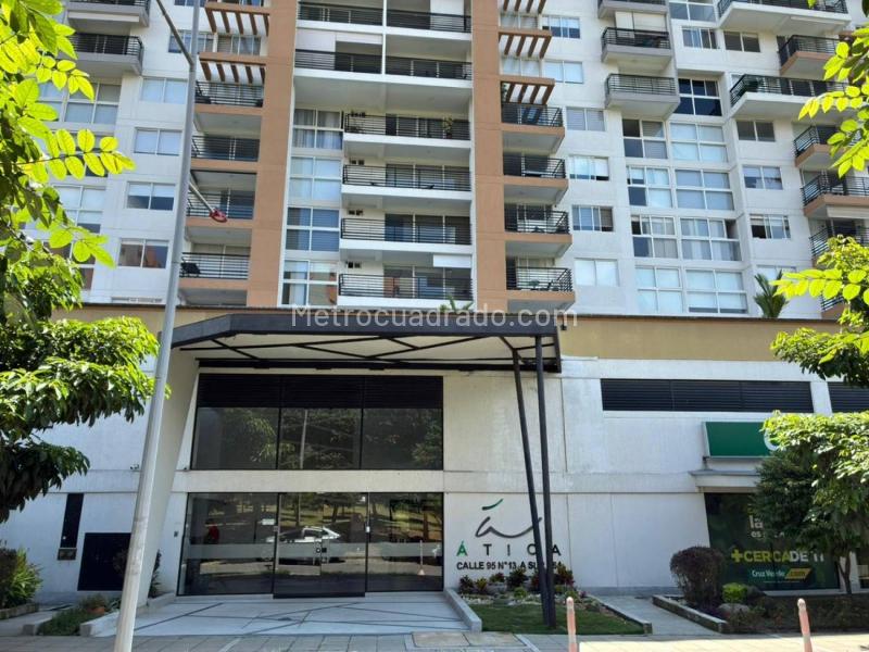 Piso – Ibagué, Centro - Vista 2