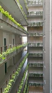 Apartamento de 3 alcobas en venta en Aparco, Ibagué, 78 m² · foto 10 de 20