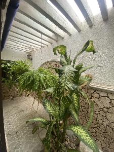 Casa en venta en Paraiso, Barranquilla · foto 11 de 20