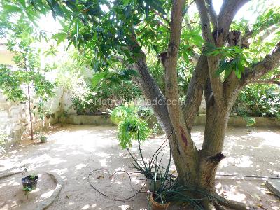 Casa de 4 alcobas en venta en Andalucia, Barranquilla, 300 m² · foto 15 de 19