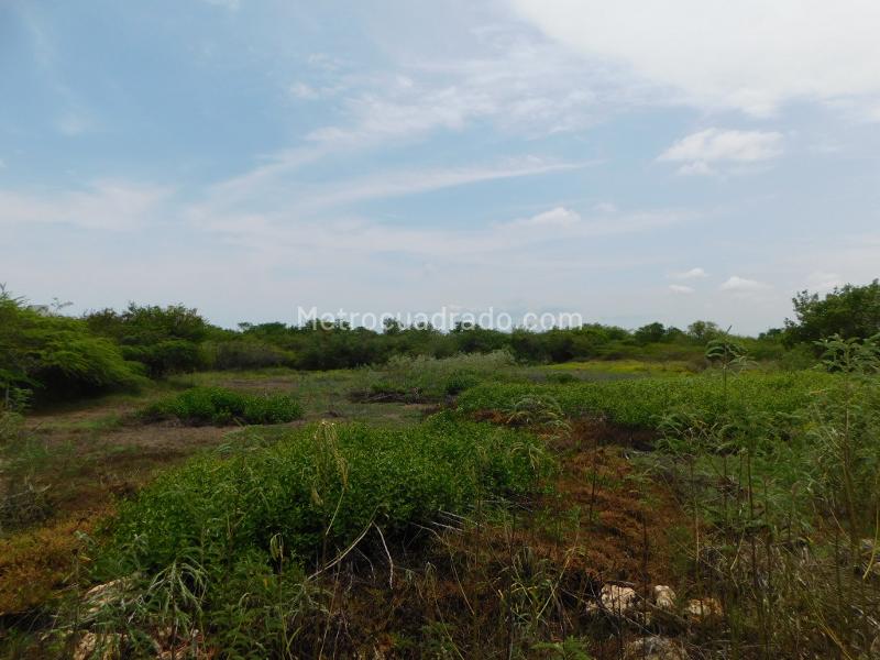 Lote en Venta, Manzanillo, Cartagena de Indias - Vista 4