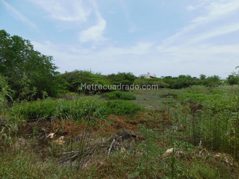 Lote en Venta, Manzanillo, Cartagena de Indias - Vista 5