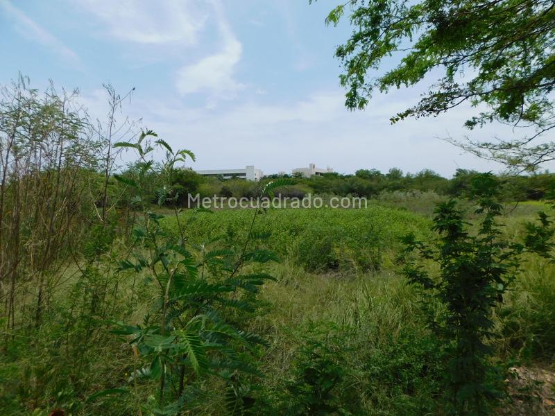 Lote en Venta, Manzanillo, Cartagena de Indias - Más