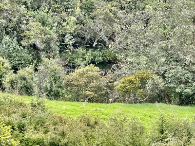 Casa en venta en Sindamanoy, Chía · foto 19 de 20