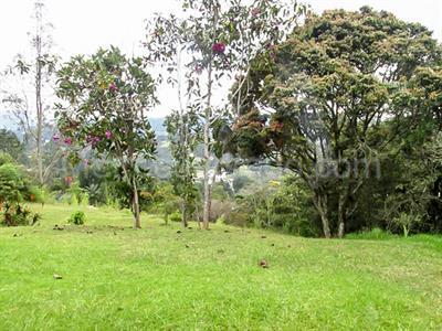Casa de 3 alcobas en venta en Via Las Palmas, Envigado, 320 m² · foto 16 de 16