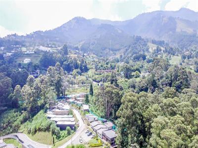 Apartamento de 3 alcobas en arriendo en El Poblado, Medellín, 296 m² · foto 20 de 20