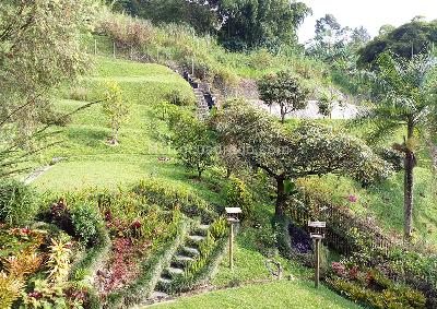 Casa de 4 alcobas en venta en Envigado, Envigado, 380 m² · foto 19 de 20