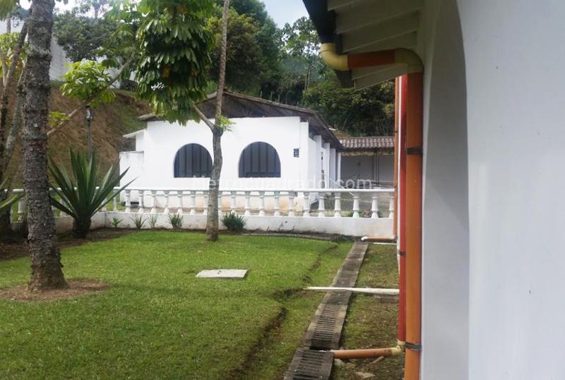Commercial 5BR House for Rent in Belen - 6