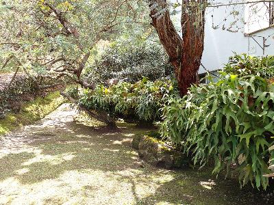 Casa de 5 alcobas en venta en Envigado, Envigado, 590 m² · foto 19 de 20