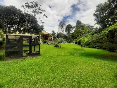 Casa de 5 alcobas en venta en El Poblado, Medellín, 350 m² · foto 18 de 19