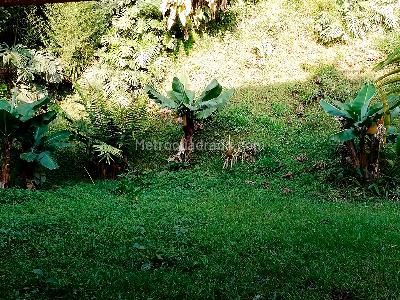 Casa de 4 alcobas en arriendo en El Poblado, Medellín, 450 m² · foto 17 de 17